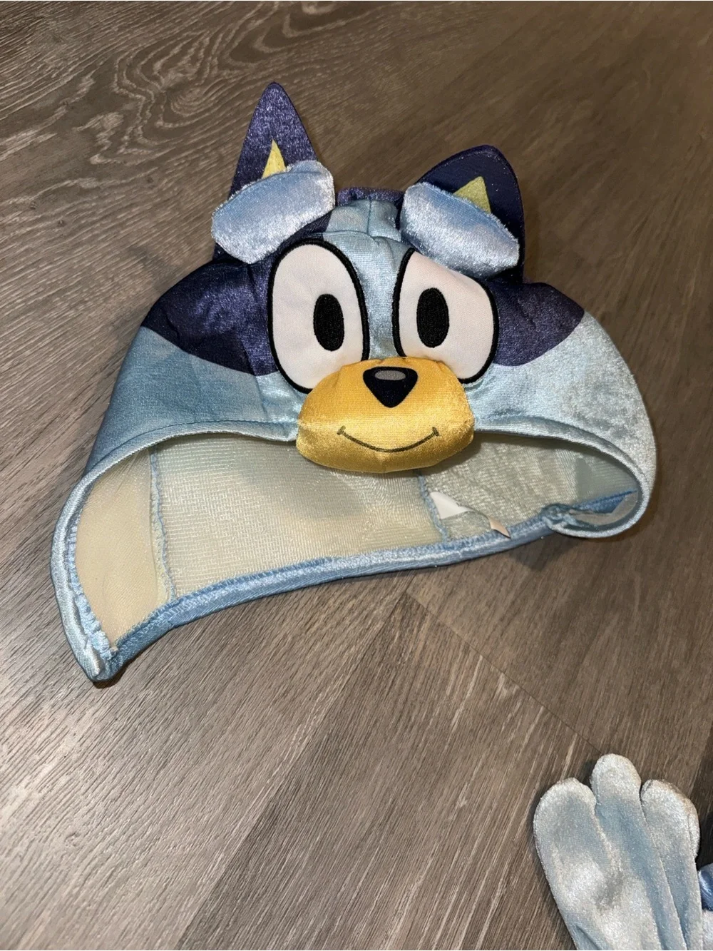 3/4T Bluey costume